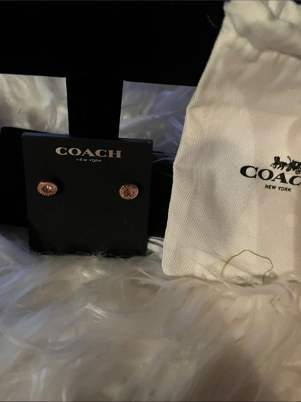 Coach earrings
